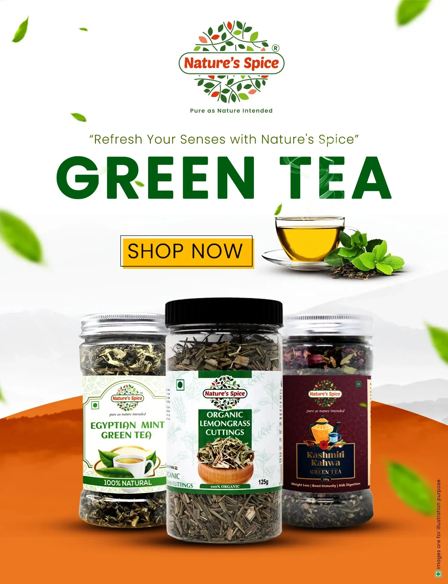 herbal teas collection from nature's spice