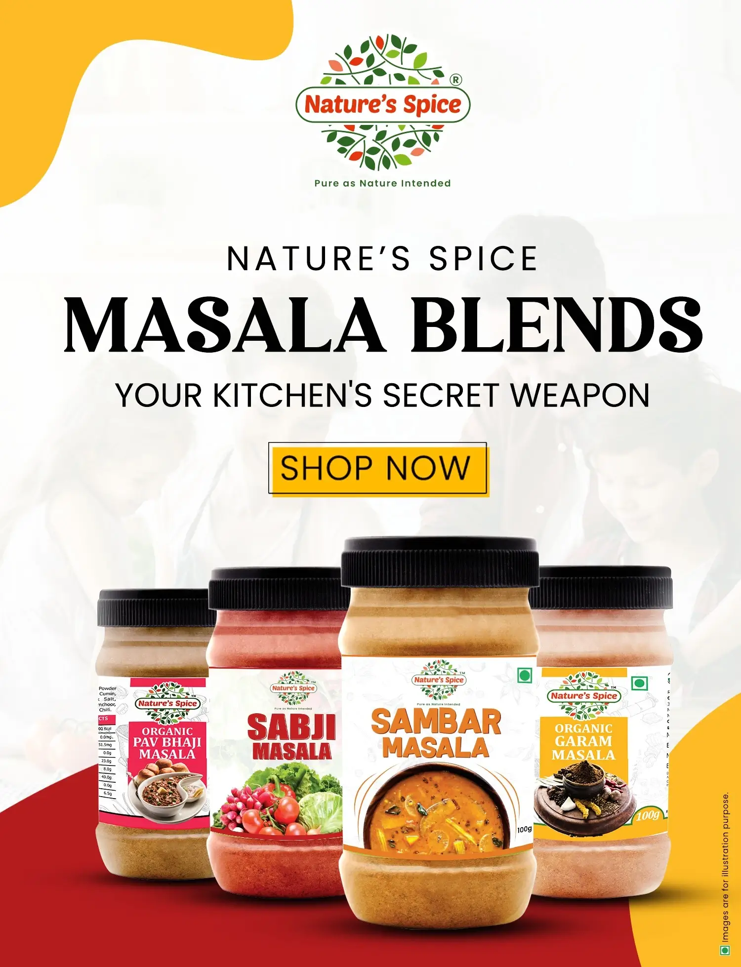 organic masala blends