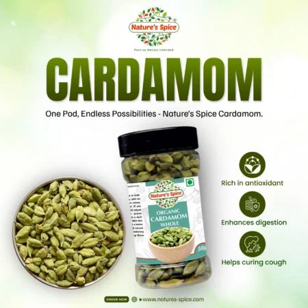Organic green cardamom benefits (nature's spice product)