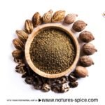 Top 10 Benefits of Triphala Powder blog featured image