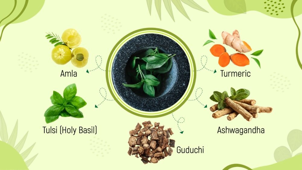Top 5 Ayurvedic Herbs