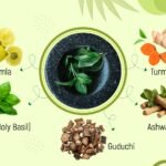 Top 5 Ayurvedic Herbs