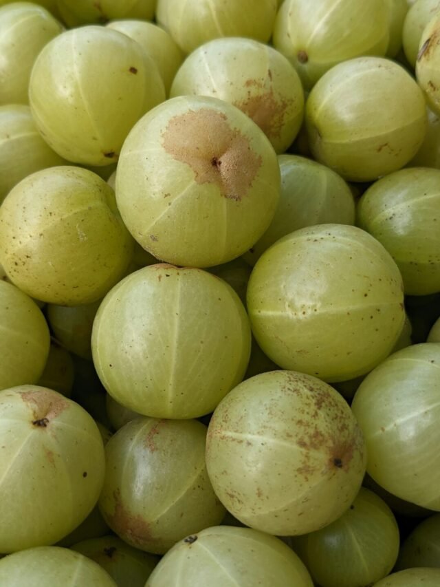 Amla Powder – Nature’s Secret for Skin, Hair & Health